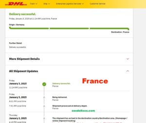 delivery-france-1