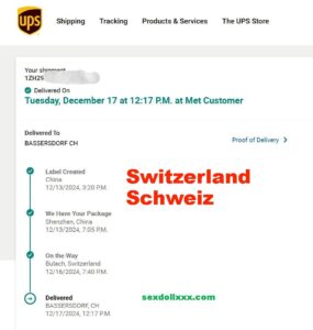 delivery-swizterland-1
